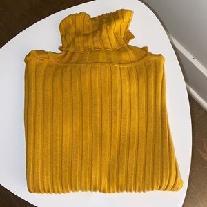 Zara Ribbed Long Sleeve Turtle Neck